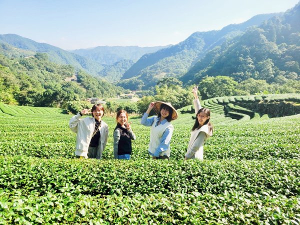 New Taipei Pinglin Tea Country Travel, leisurely tasting the fragrance of tea in the lake and mountains