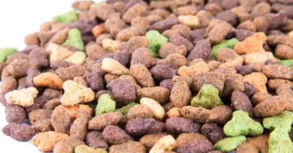 How to make cat food? How to make homemade cat food?